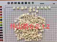 图片未找到