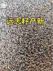 图片未找到