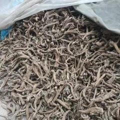 图片未找到