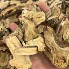 图片未找到