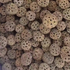 图片未找到