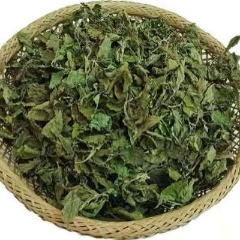 图片未找到