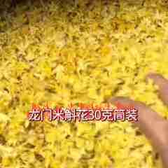 图片未找到