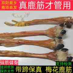 图片未找到