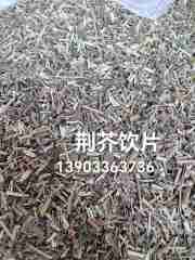 图片未找到
