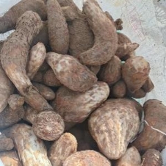 图片未找到