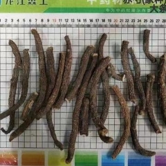 图片未找到