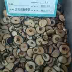 图片未找到