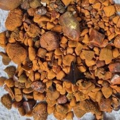 图片未找到