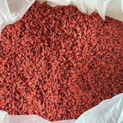 图片未找到