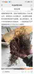 图片未找到