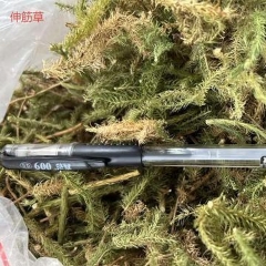 图片未找到