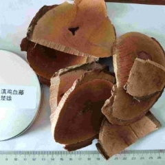 图片未找到